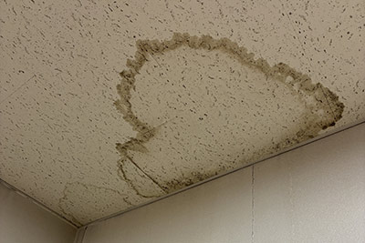 天井にシミや変色が発生